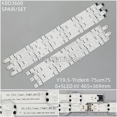 KBD3660 Y19.5-Trident-75um75/ spliced 6+5-LED 6v465+369mm 5PAIR/SET